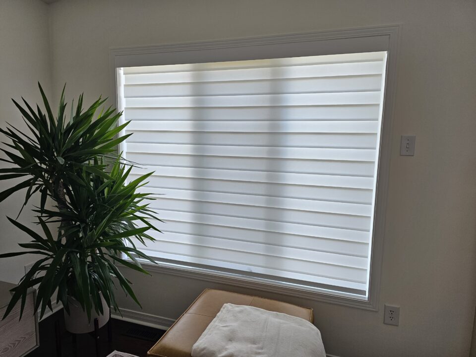 zebra_blinds
